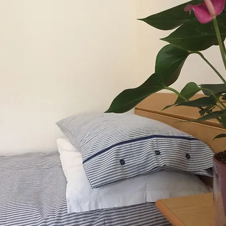 Hotel Riziana 3*
