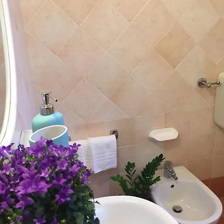Riziana 3* Cervia