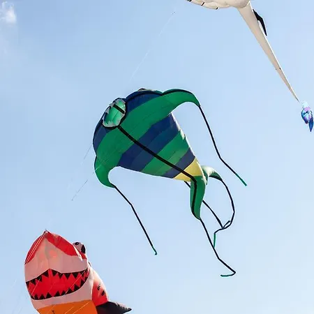 Riziana 3* تّشيرفييا