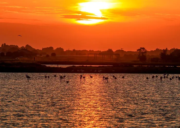 Ξενοδοχείο Riziana 3*