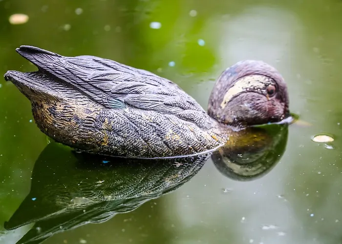 Ξενοδοχείο Riziana 3*