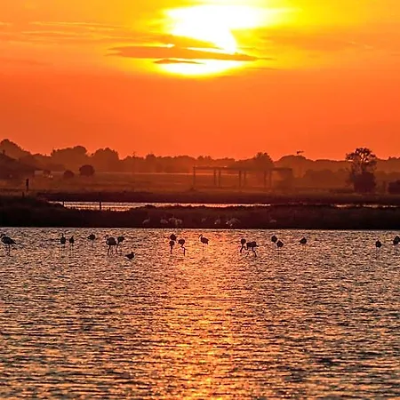 Riziana Cervia