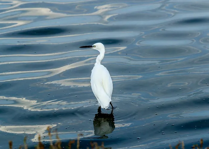 ホテル Riziana 3*